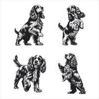 Floppy Ears and Wagging Tails English Cocker Joy vector