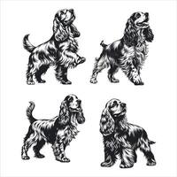 English Cocker Spaniel A Bundle of Energy vector