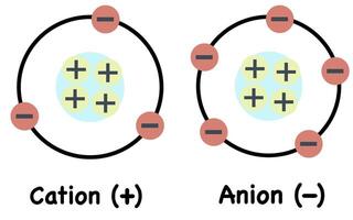Cation and anion illustration. Positive and negative charge ion. vector