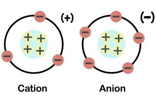 Cation and anion illustration. Positive an negative charge ion vector