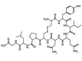 Chemical structure of hormone oxytocin vector