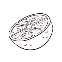 Lemon fruit slice in line art style. Hand drawn illustration design for menu, package, cosmetic, textile isolated on a white background. vector