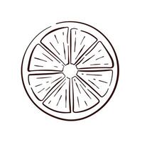 Lemon round slice in line art style. Tropical summer citrus fruit piece with segments. Design for menu, fruit and grocery store. illustration isolated on a white background. vector
