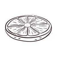 Lemon round slice in line art style. Tropical citrus hand drawn fruit piece with design for menu, logo, package, fruit and grocery store. Isolated on a white background. vector
