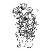 a drawing of tulips in a vase vector