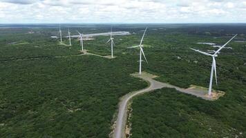 Wind farm in the forest with a lake in background and cloudy sky video