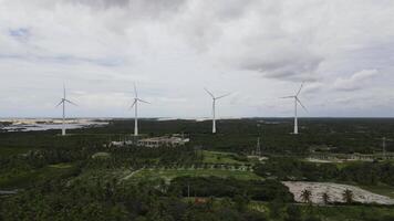 Wind Farm in natural park with a cloudy sky video