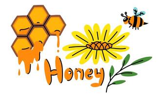 Set of flower, bee, honeycomb, honey, leaf inscription. A flat set of colored illustrations on a white background. Bee flat for marketing. To use for marking honey, bee, natural. Horizontal vector