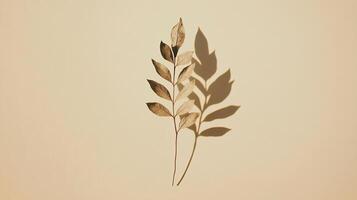 A plant with a shadow on a beige background photo