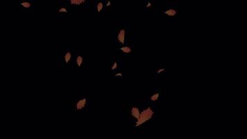 Falling Leaves Seamless Loop Animation - Autumn Background video
