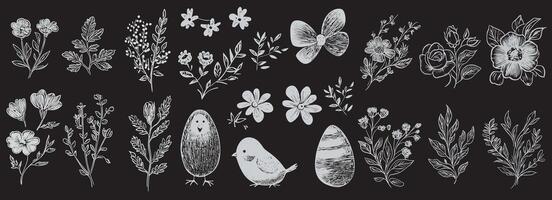 A collection of hand drawn flowers and birds vector