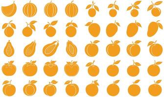 Orange Fruits Bundle - Juicy and Fresh Collection vector