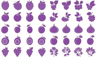 Purple Fruits Bundle - Juicy and Fresh Collection vector