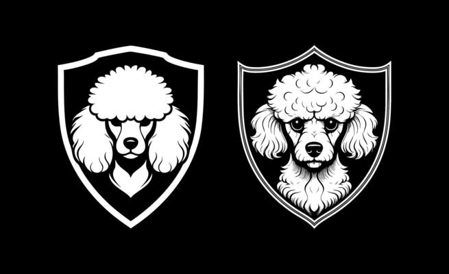 Poodle angry in shield