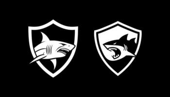 Shark angry in shield vector
