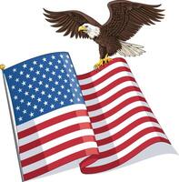 Eagle face flag color design vector