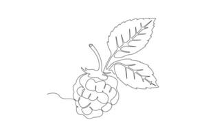 Hand-drawn raspberry line art drawing. Raspberry fruit linear icon vector