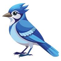 Bold Blue Jay with Expressive Stance Available on EPS File vector