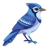 Lively Blue Jay Available on EPS File vector