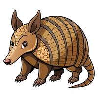 Curled Armadillo in Defensive Position Available on EPS File vector