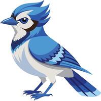 Majestic Blue Jay with Striking Feather Patterns Available on EPS File vector
