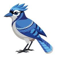 Expressive Blue Jay with Sharp Features Available on EPS File vector