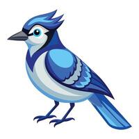 Artistic Blue Jay with Realistic Feather Shading Available on EPS File vector