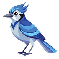 Stunning Blue Jay Available on EPS File vector