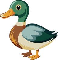 Charming Duck Illustration Available on EPS File vector
