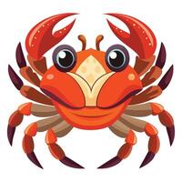 Stylized Crab Artwork for Coastal Themes Available on EPS File vector