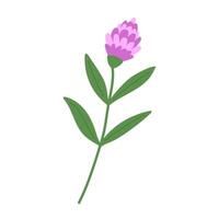 Hand draw rustic flower illustration. vector