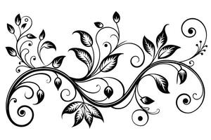 ABlack and White Floral Design for Decorative Use vector