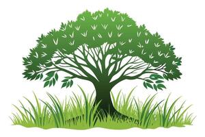 Lush green tree silhouette against a field of grass. vector