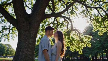 Couple embracing under a large tree during sunset in a park video