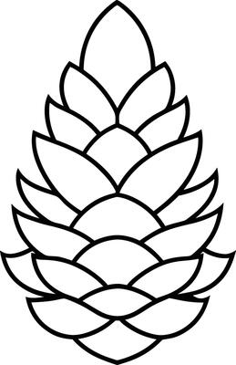 Pine Cone Line Art - Minimalist Black Botanical Illustration