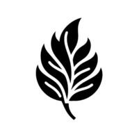 Bold, monochrome illustration of an stylized leaf with intricate vein patterns against a pristine white background. vector
