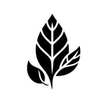Minimalist Black and White Leaf Composition Showcasing Delicate Veins, Clean Lines, and a Natural Organic Form on White Background. vector