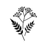 Minimalist Black Botanical Illustration Delicate Fern Leaves and Flowering Sprigs Against a Clean White Background. vector