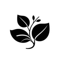 Minimalist Black and White Illustration of a Leafy Sprig with Three Large Leaves and Small Buds on a White Background. vector