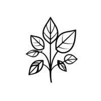 Simple black and white line art illustration of a leafy plant with multiple stylized leaves and a central stem, clean . vector