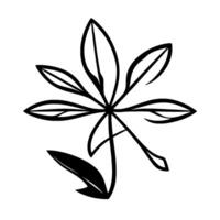A stark, minimalist illustration of a plants leaf structure in black and white, featuring radiating linear elements and detailed outlines. vector