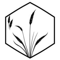 Minimalist Black and White Illustration of Wheat Stalks in a Hexagonal Frame with Delicate, Clean Lines and a Modern, Natural Aesthetic. vector