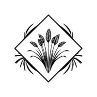 Artistic Black and White Floral Illustration Wheatlike plants enclosed within a diamond frame on a pristine white background. vector