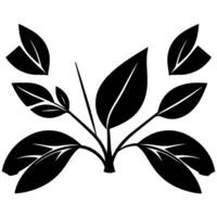Stylized Black Leafy Plant with Separated Leaves, Illustration on White, Shadow Effect. vector