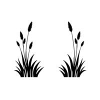 Symmetrical Black Silhouettes of Ornamental Grass Tufts with Seed Heads on White Background, Minimalist . vector