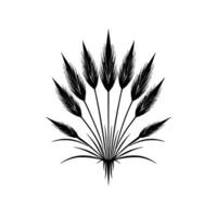 Artistic Illustration Black White of a Stylized Wheat Bouquet, Spiked Texture on White Background. vector