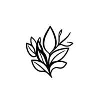 A minimalist black and white botanical illustration featuring a stylized cluster of elegant leaves and delicate stems on a clean white background. vector