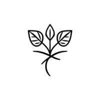 Minimalist Botanical Illustration Three stylized leaves with veins, arranged symmetrically on thin stems, against a stark white background. vector