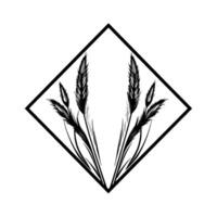 Stylized Black Wheat Grass in a Rhombus Frame, a Minimalist Black and White Composition. vector