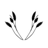 Minimalist black and white botanical illustration featuring symmetrical featherlike plants within a geometric frame, elegant and refined. vector